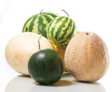 Summertime Means Eating Melon Image